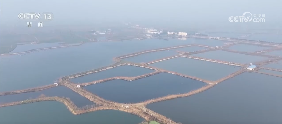 多彩非遗活动“解锁”热闹中国年 各地年货市场开启“热购模式”(图10)